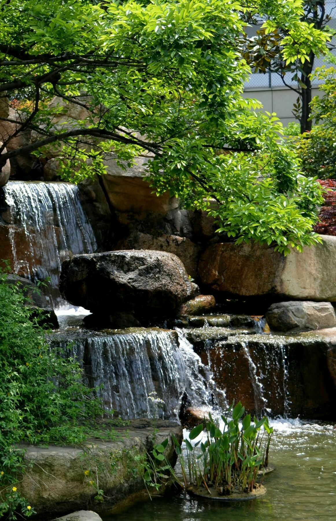 Millennium Hotel Wuxi Wuxi  Eksteriør bilde
